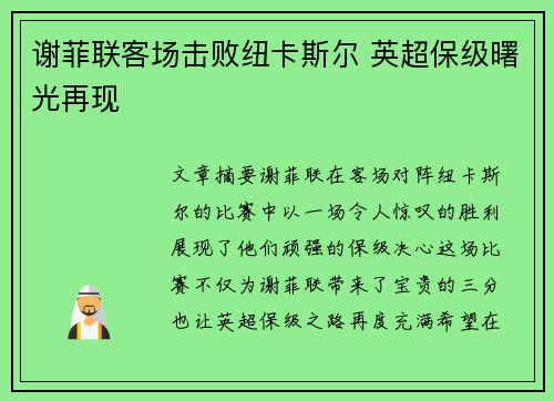 谢菲联客场击败纽卡斯尔 英超保级曙光再现